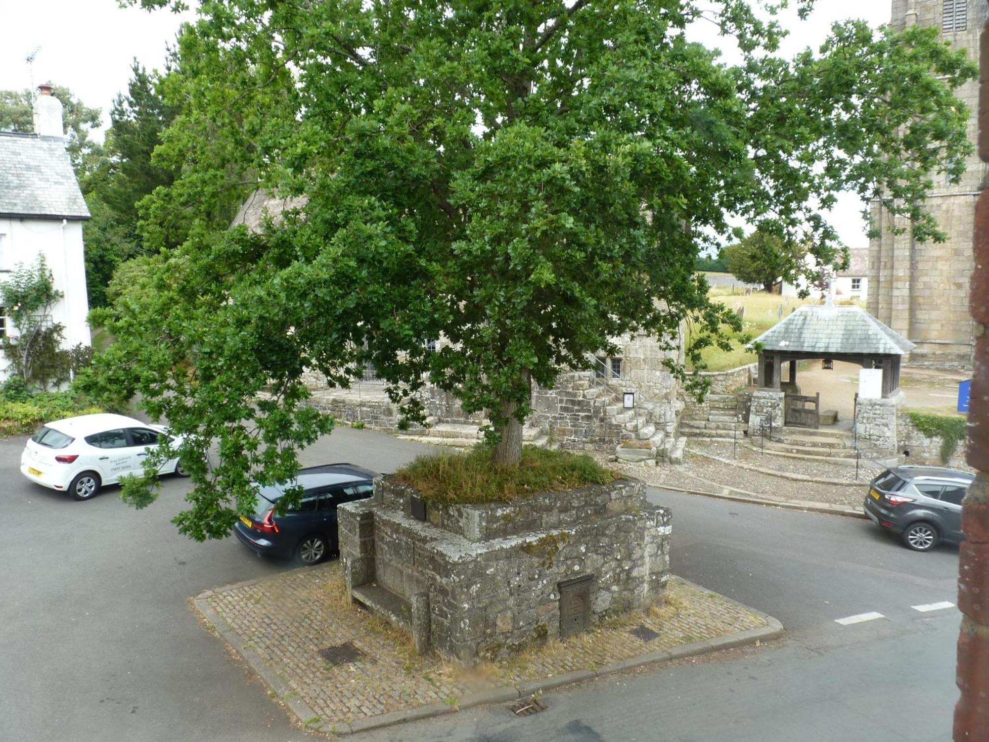 Seven Stars - Bed & Breakfast & Restaurant Okehampton Exteriér fotografie